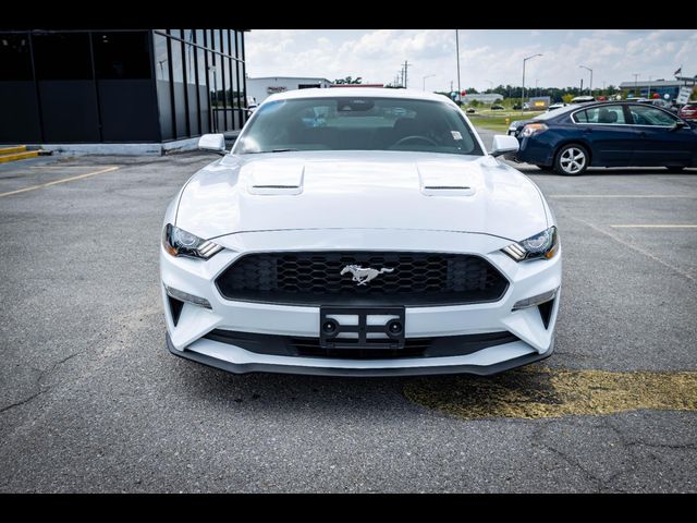 2023 Ford Mustang EcoBoost