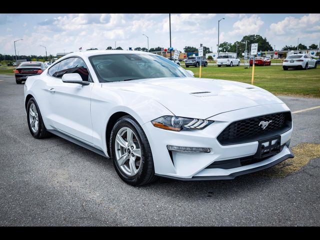 2023 Ford Mustang EcoBoost