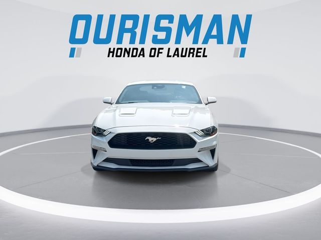 2023 Ford Mustang EcoBoost