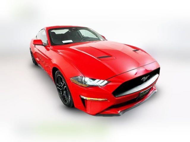 2023 Ford Mustang EcoBoost