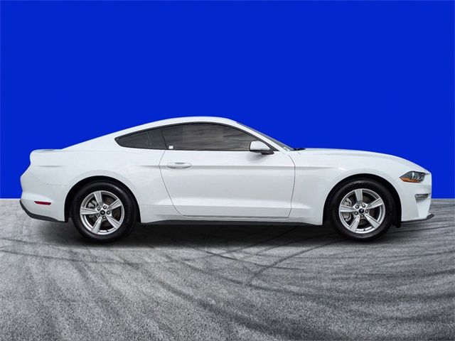 2023 Ford Mustang EcoBoost