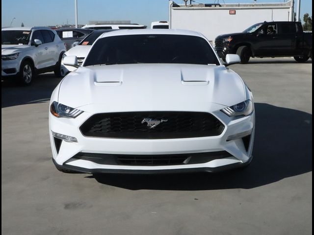 2023 Ford Mustang EcoBoost