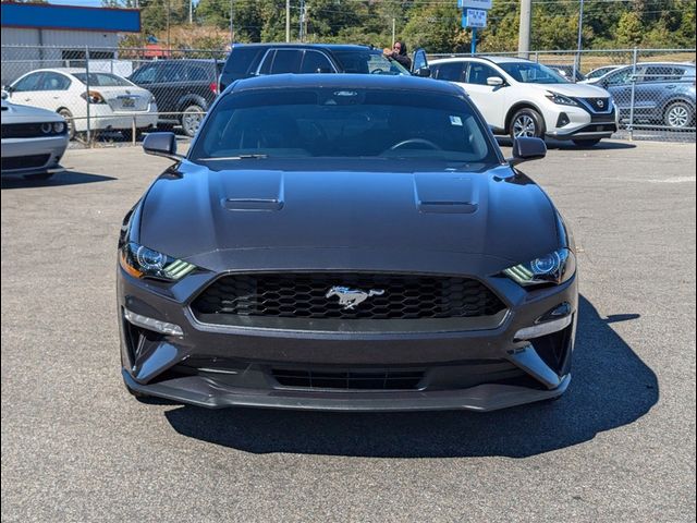 2023 Ford Mustang EcoBoost