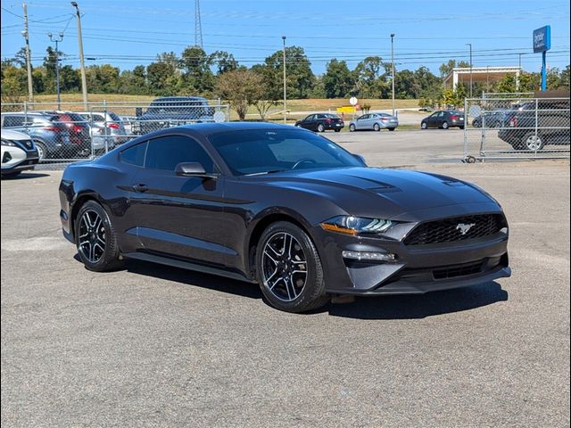 2023 Ford Mustang EcoBoost