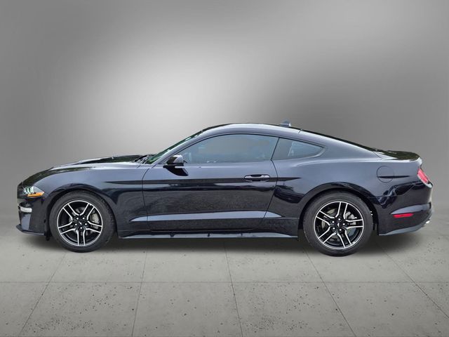 2023 Ford Mustang EcoBoost