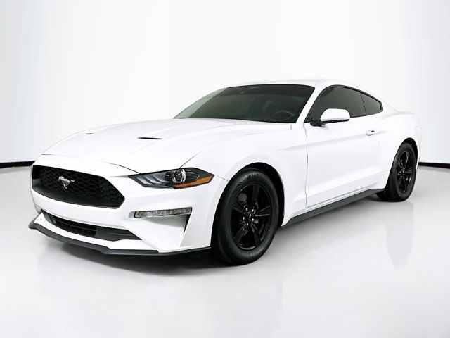 2023 Ford Mustang EcoBoost