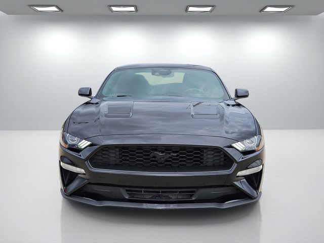 2023 Ford Mustang EcoBoost