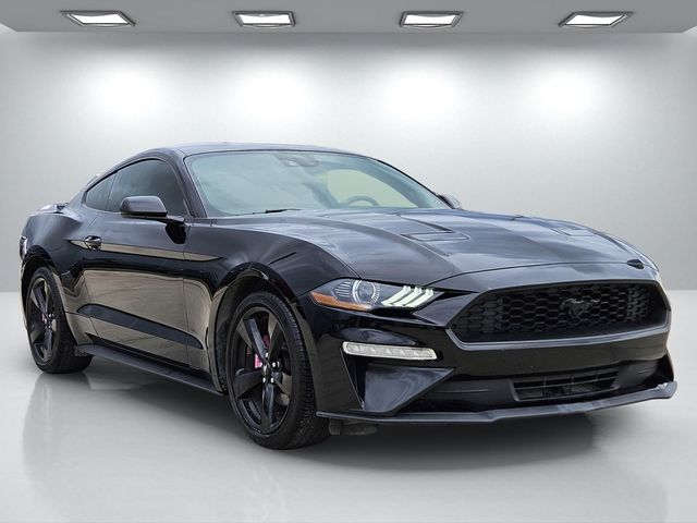 2023 Ford Mustang EcoBoost