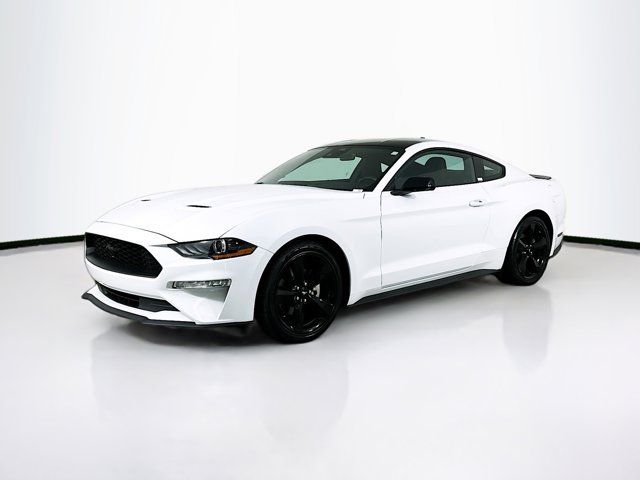 2023 Ford Mustang EcoBoost