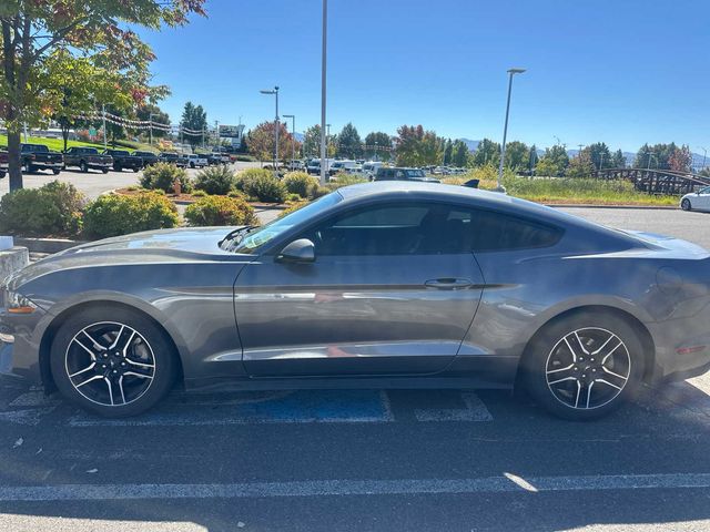 2023 Ford Mustang EcoBoost