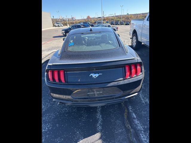 2023 Ford Mustang EcoBoost