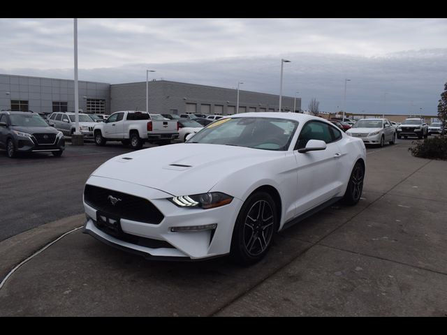 2023 Ford Mustang EcoBoost