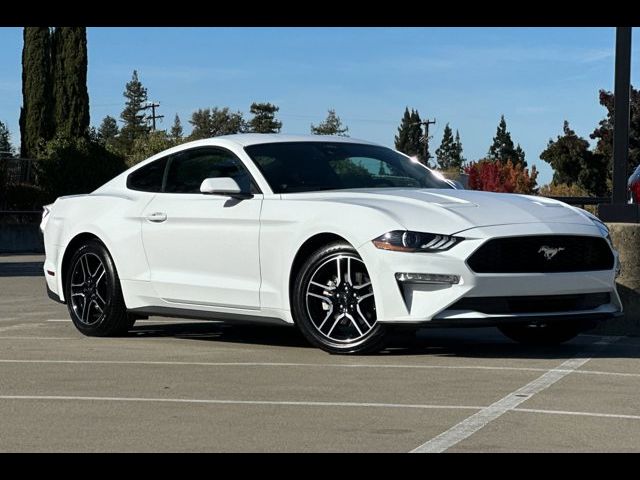 2023 Ford Mustang EcoBoost