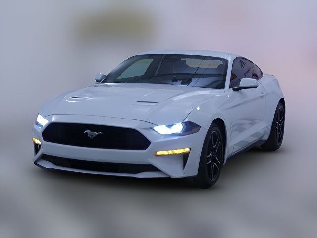 2023 Ford Mustang EcoBoost