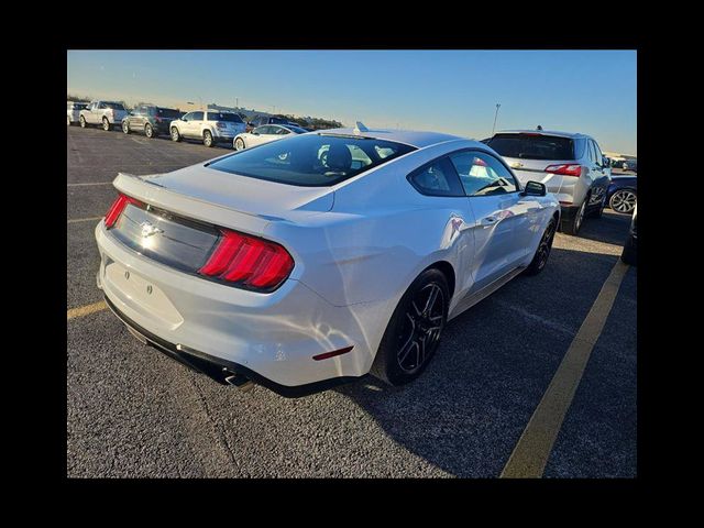 2023 Ford Mustang EcoBoost