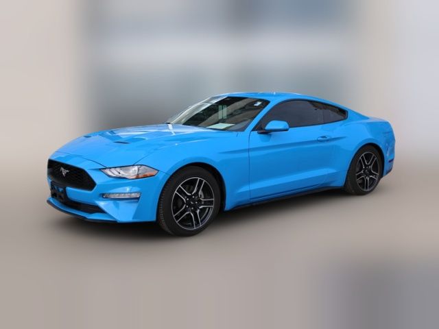 2023 Ford Mustang EcoBoost