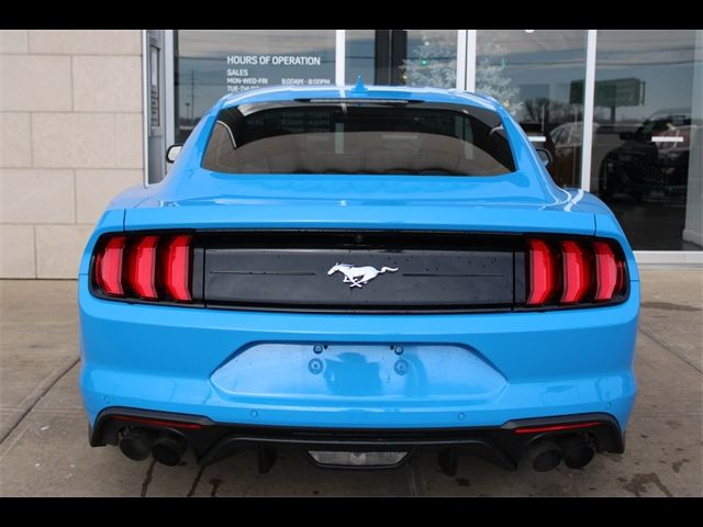 2023 Ford Mustang EcoBoost