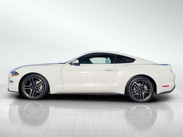 2023 Ford Mustang EcoBoost