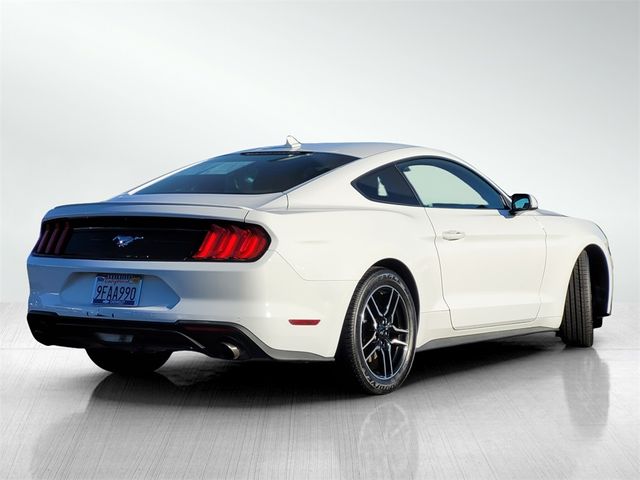 2023 Ford Mustang EcoBoost