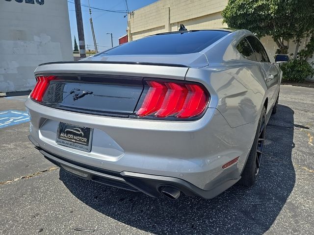 2023 Ford Mustang EcoBoost