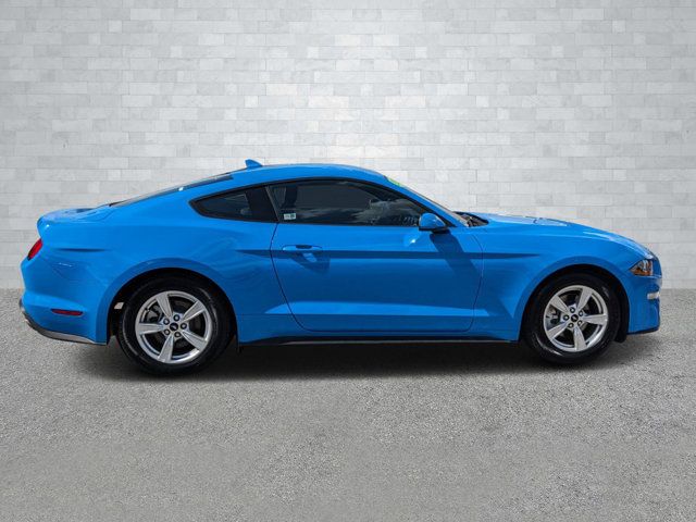 2023 Ford Mustang EcoBoost