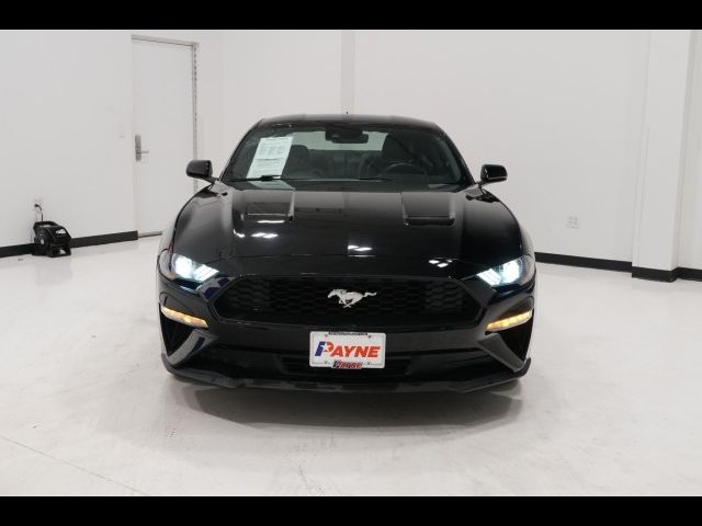 2023 Ford Mustang EcoBoost