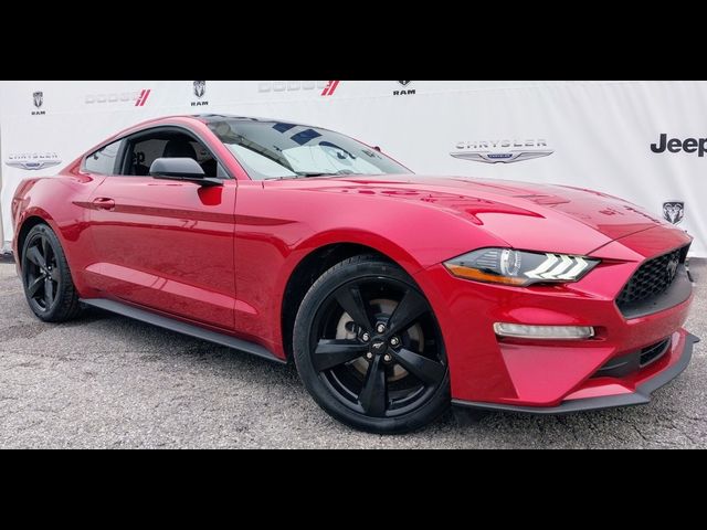 2023 Ford Mustang EcoBoost