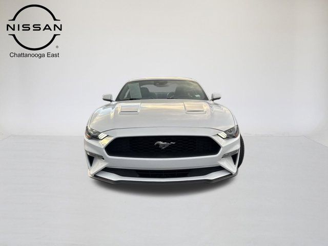 2023 Ford Mustang EcoBoost