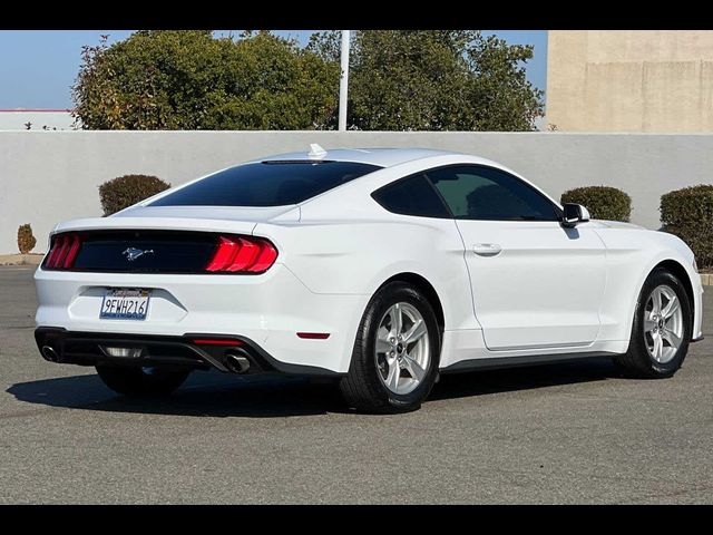 2023 Ford Mustang EcoBoost