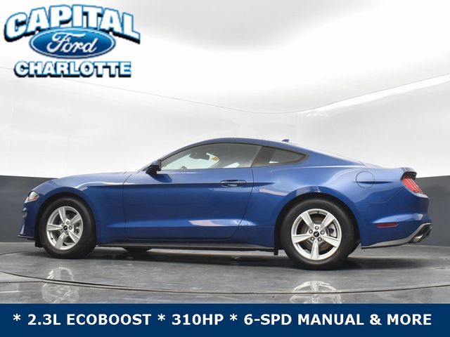 2023 Ford Mustang EcoBoost