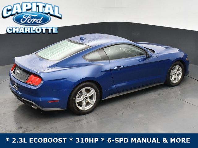 2023 Ford Mustang EcoBoost