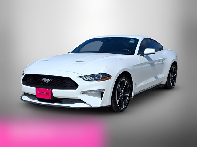 2023 Ford Mustang EcoBoost