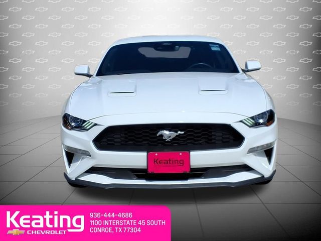 2023 Ford Mustang EcoBoost