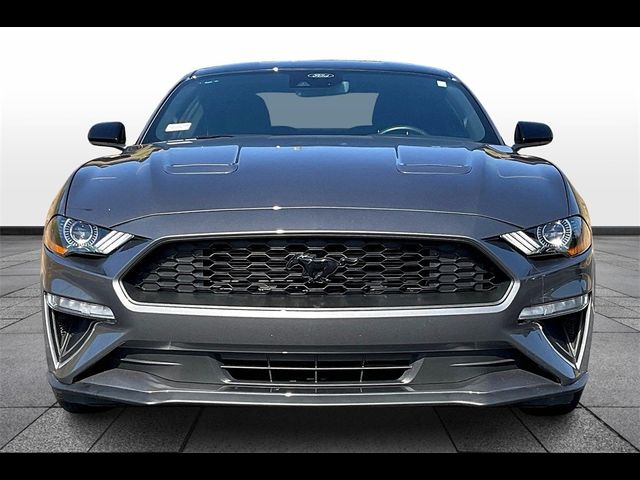 2023 Ford Mustang EcoBoost