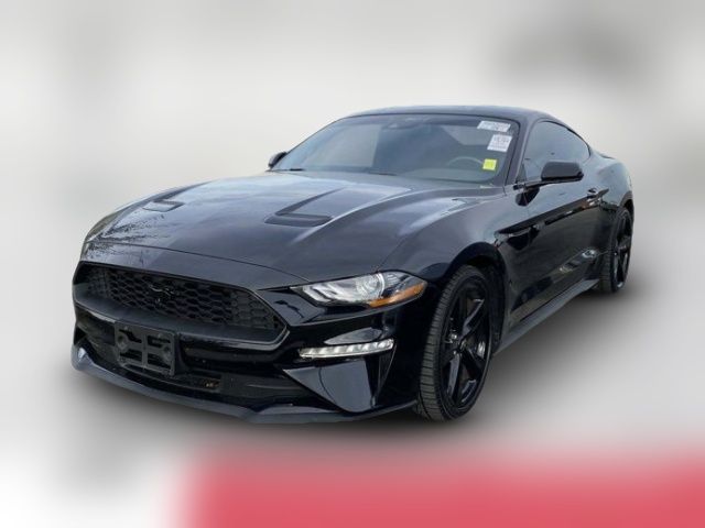 2023 Ford Mustang EcoBoost