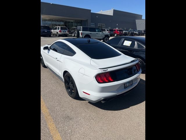 2023 Ford Mustang EcoBoost