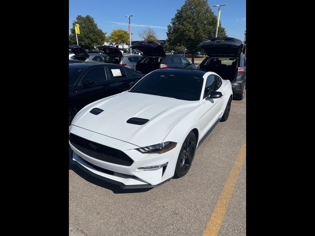 2023 Ford Mustang EcoBoost