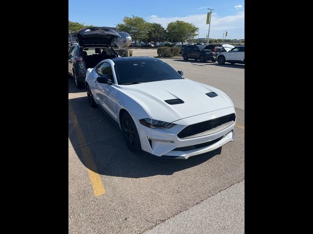 2023 Ford Mustang EcoBoost