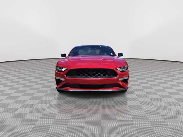 2023 Ford Mustang EcoBoost