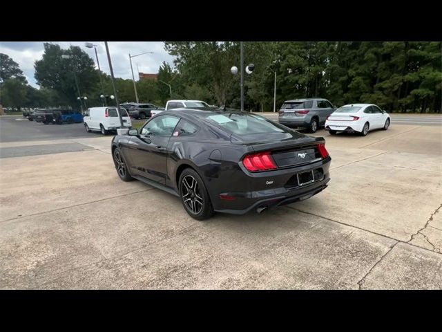 2023 Ford Mustang EcoBoost