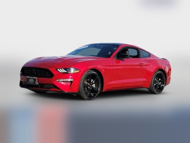 2023 Ford Mustang 