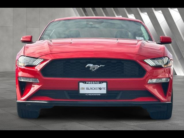 2023 Ford Mustang EcoBoost