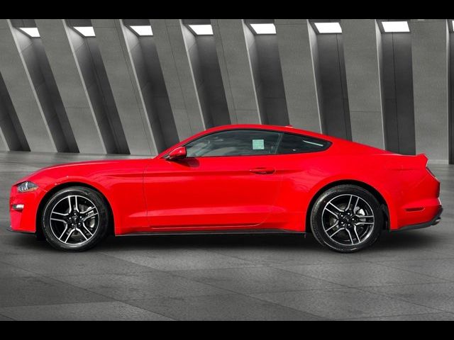 2023 Ford Mustang EcoBoost