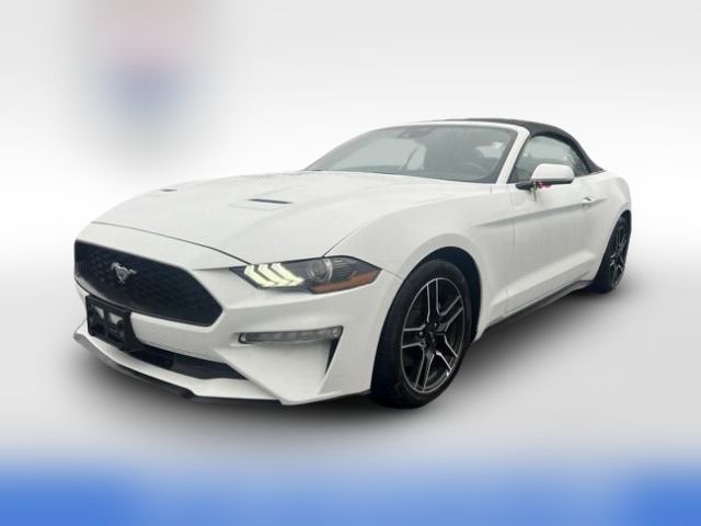 2023 Ford Mustang EcoBoost