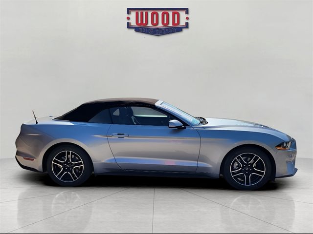 2023 Ford Mustang EcoBoost