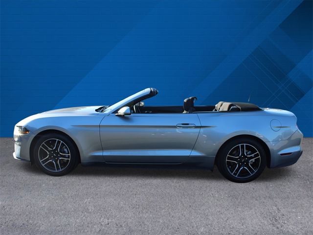 2023 Ford Mustang EcoBoost