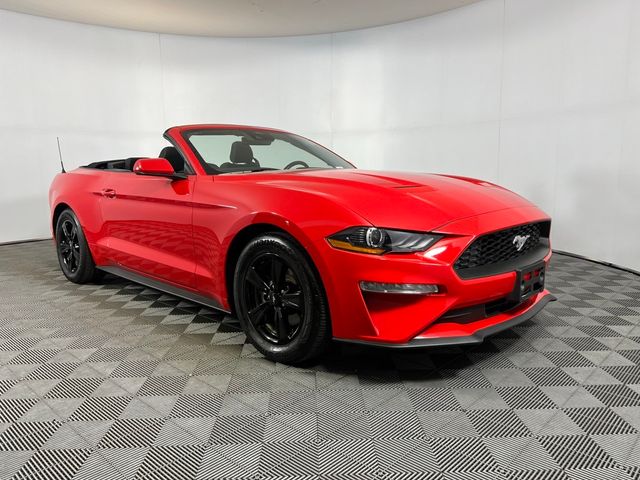 2023 Ford Mustang EcoBoost