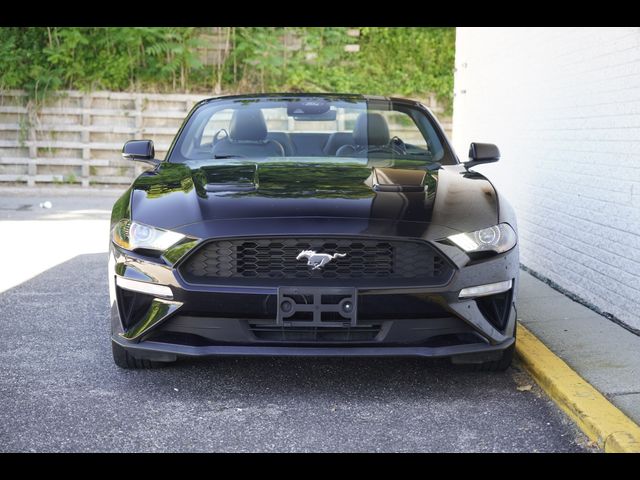 2023 Ford Mustang EcoBoost