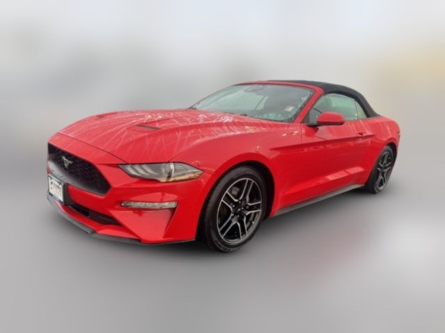 2023 Ford Mustang EcoBoost