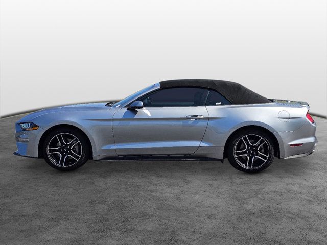 2023 Ford Mustang EcoBoost